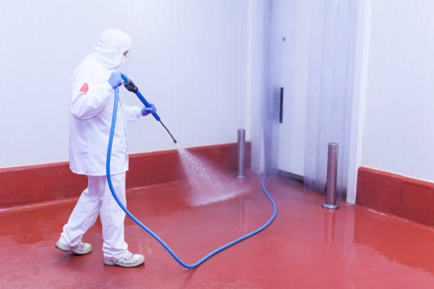 Best Solar Panel Cleaning  in Edgewood, TX